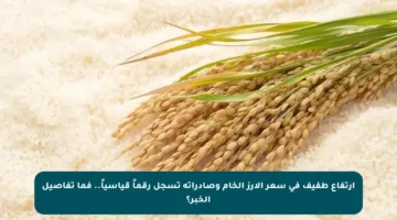 ارتفاع طفيف في سعر الأرز الخام وصادراته تسجل رقماً قياسياً.. فما تفاصيل الخبر؟